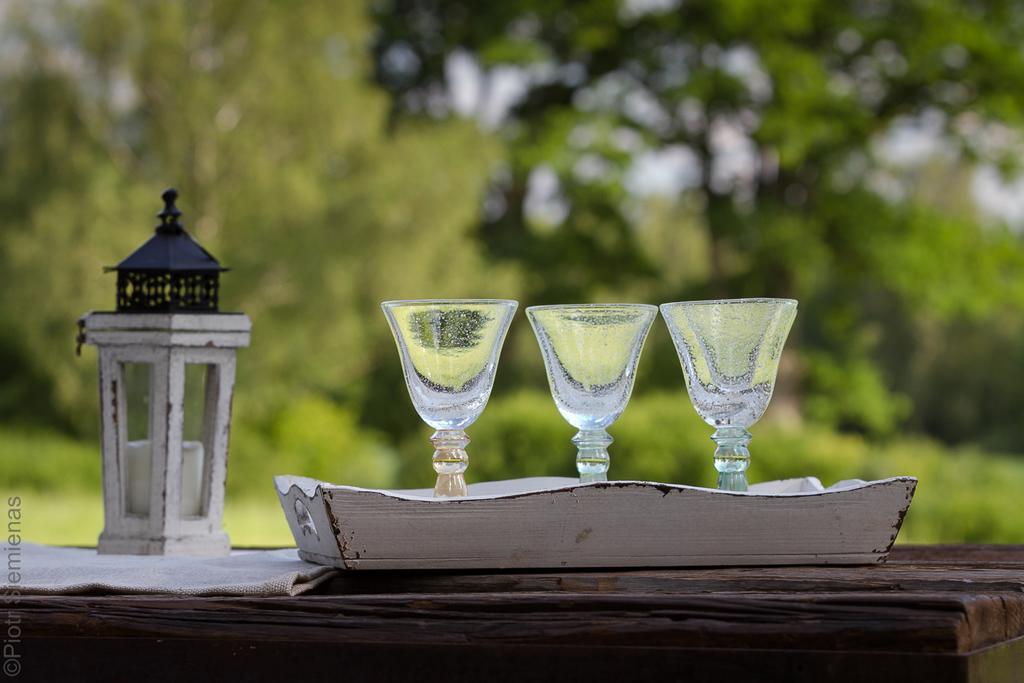Dwor Dawidy Bed & Breakfast Mlynary Eksteriør bilde