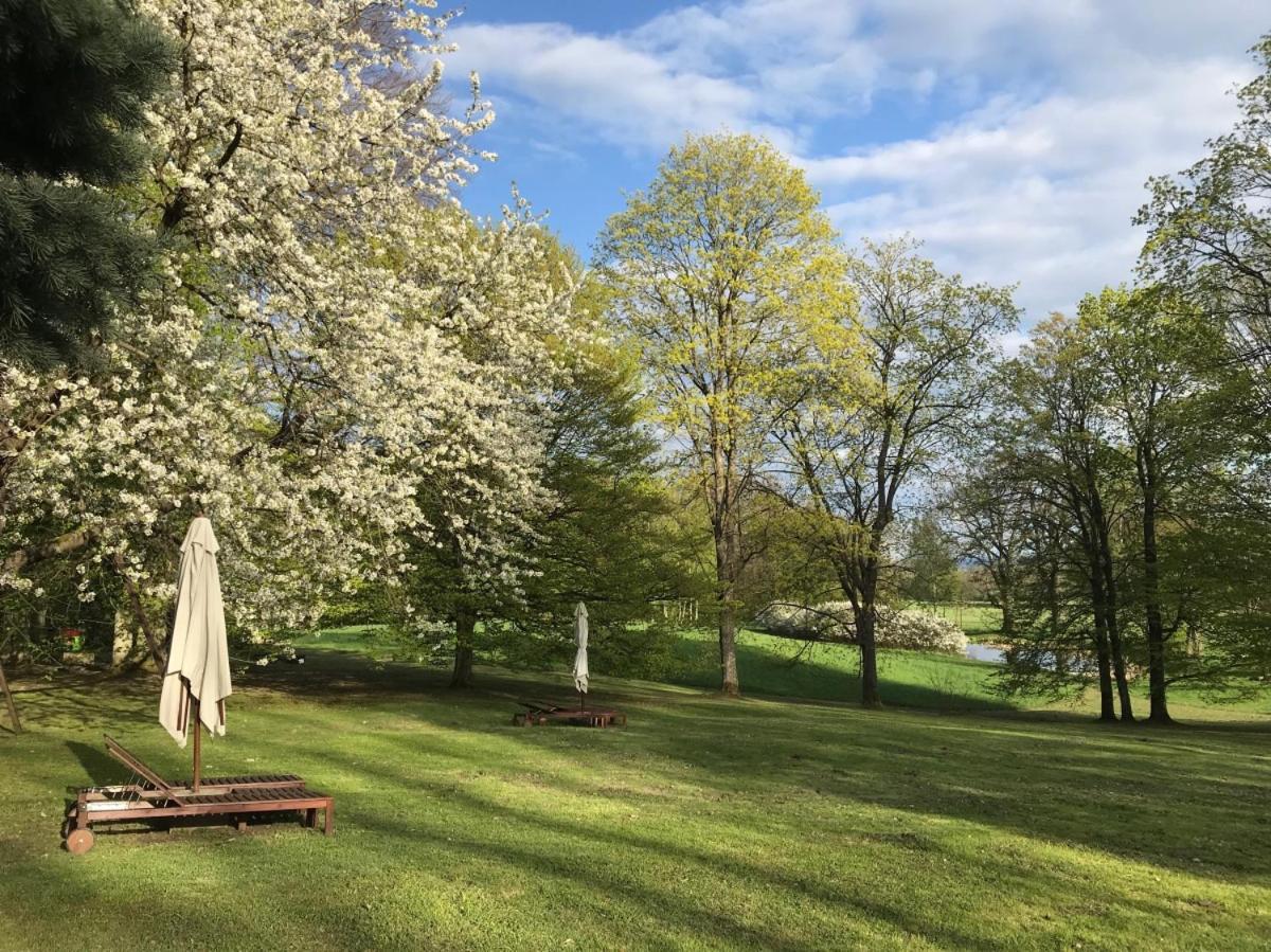 Dwor Dawidy Bed & Breakfast Mlynary Eksteriør bilde